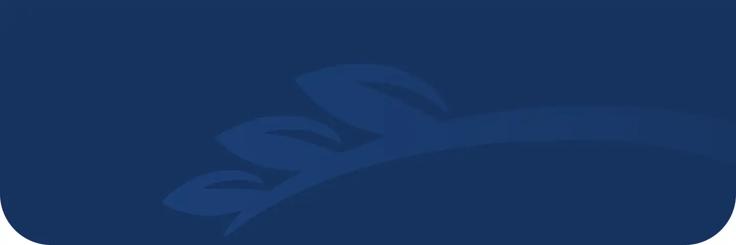 Investment Partner Process